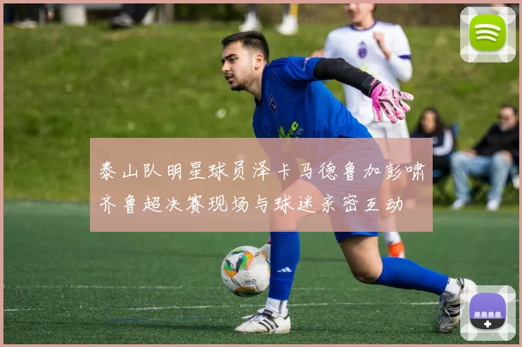 泰山队明星球员泽卡马德鲁加彭啸齐鲁超决赛现场与球迷亲密互动