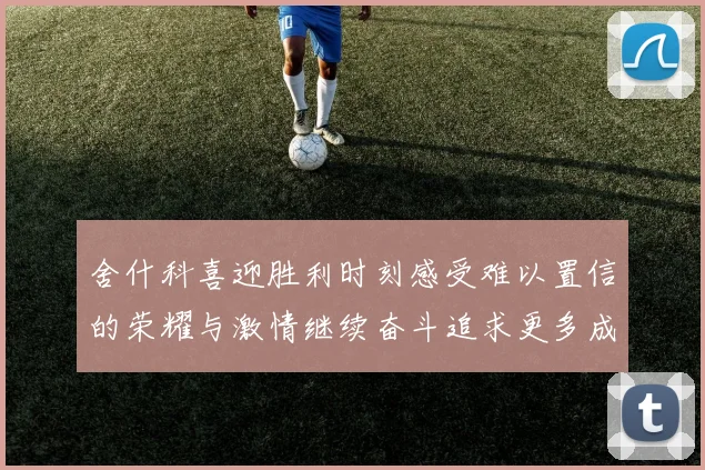 舍什科喜迎胜利时刻感受难以置信的荣耀与激情继续奋斗追求更多成就